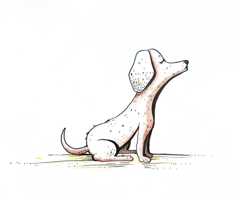 20170817_100004-01-01-01-01